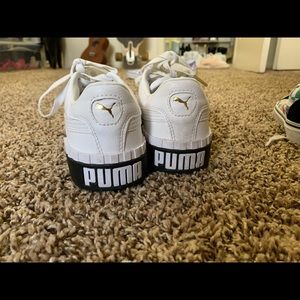 white pumas